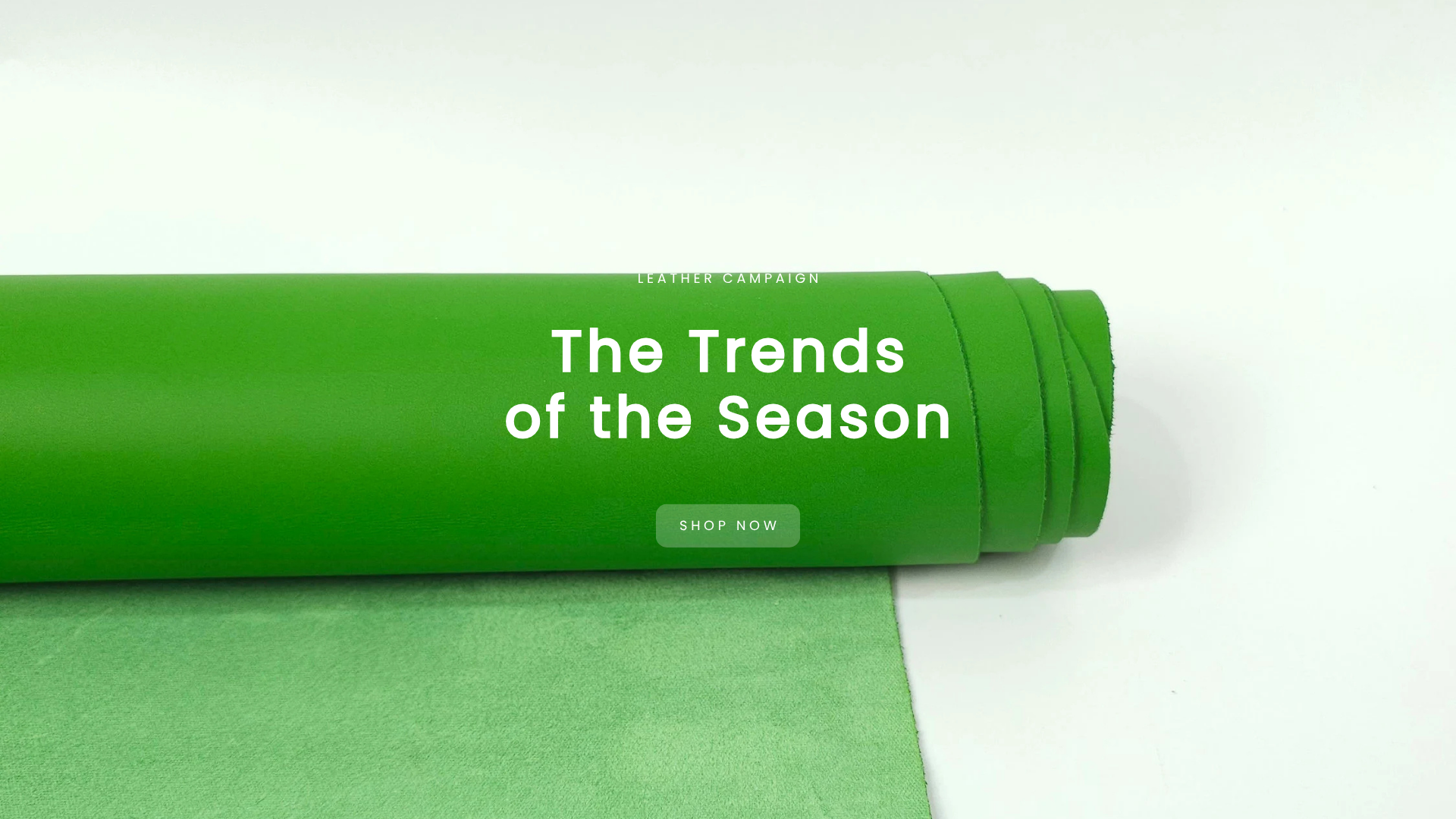Trends